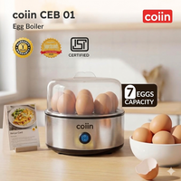 Electric Egg Boiler