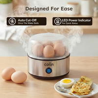 Electric Egg Boiler